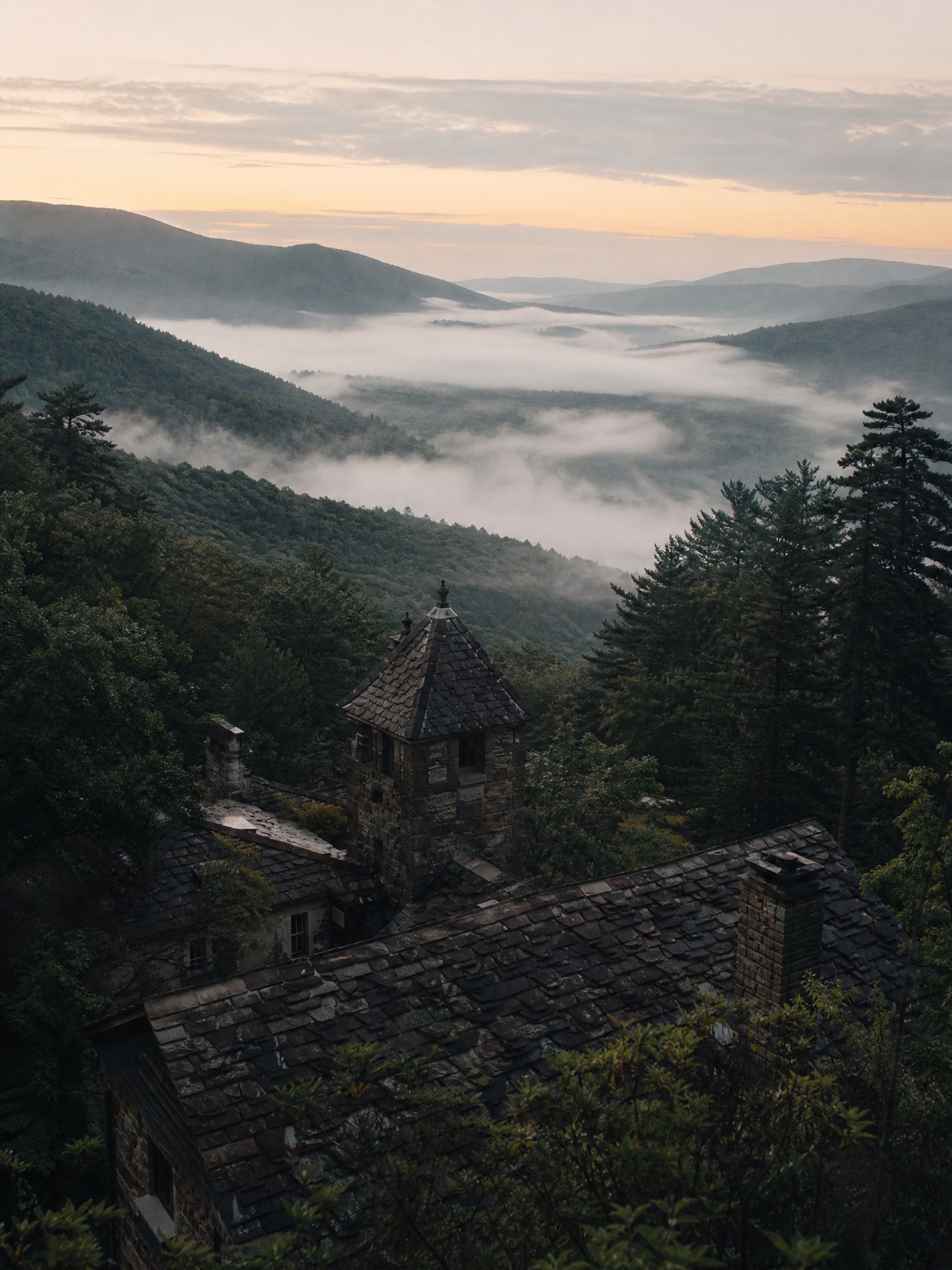An Appalachian ridge at dawn from the Appalache world.